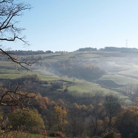 Gites Le Chene & Le Tilleul Saint-Romain-de-Lerps エクステリア 写真