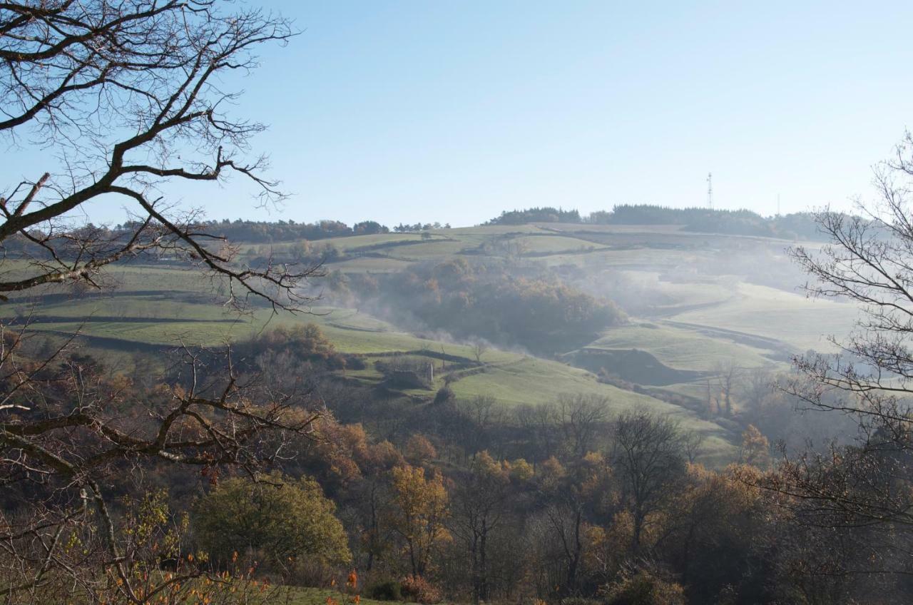 Gites Le Chene & Le Tilleul Saint-Romain-de-Lerps エクステリア 写真