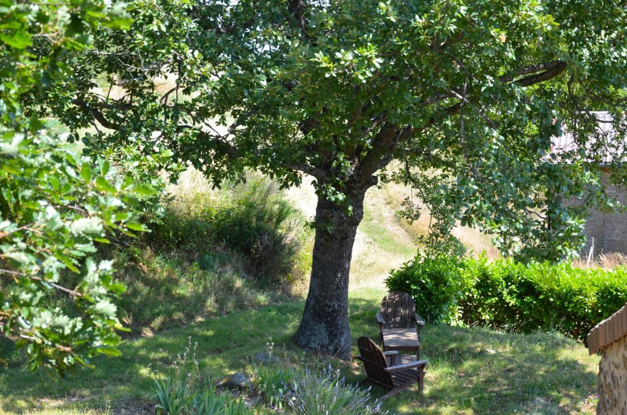 Gites Le Chene & Le Tilleul Saint-Romain-de-Lerps 部屋 写真